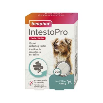 Beaphar Intestopro Hund> 20 kg - Verdauungshilfe - Bis 20 kg 20 Tabletten