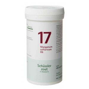 Schüssler salze Pflüger nr 17 manganum sulfuricum D6 400 Tablet glutenfrei